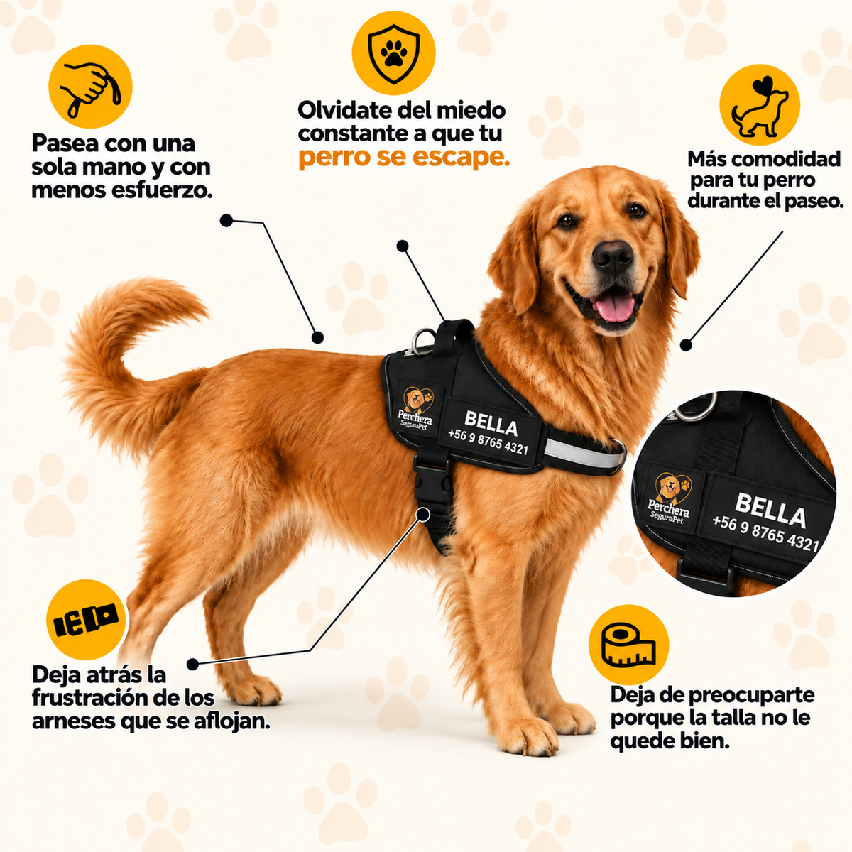 Perchera segurapet 🐶 Paseos con más control y menos tirones
