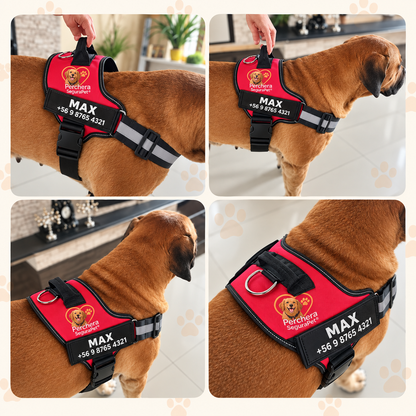Perchera segurapet 🐶 Paseos con más control y menos tirones