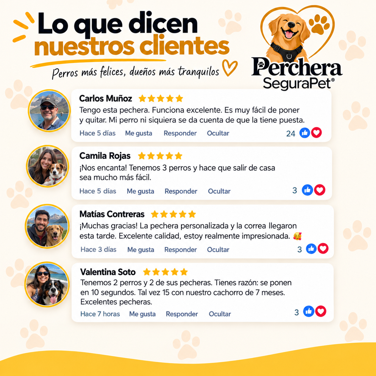 Perchera segurapet 🐶 Paseos con más control y menos tirones