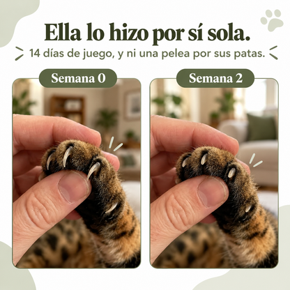 Lima para gatos MIMO™