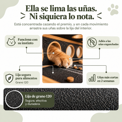Lima para gatos MIMO™