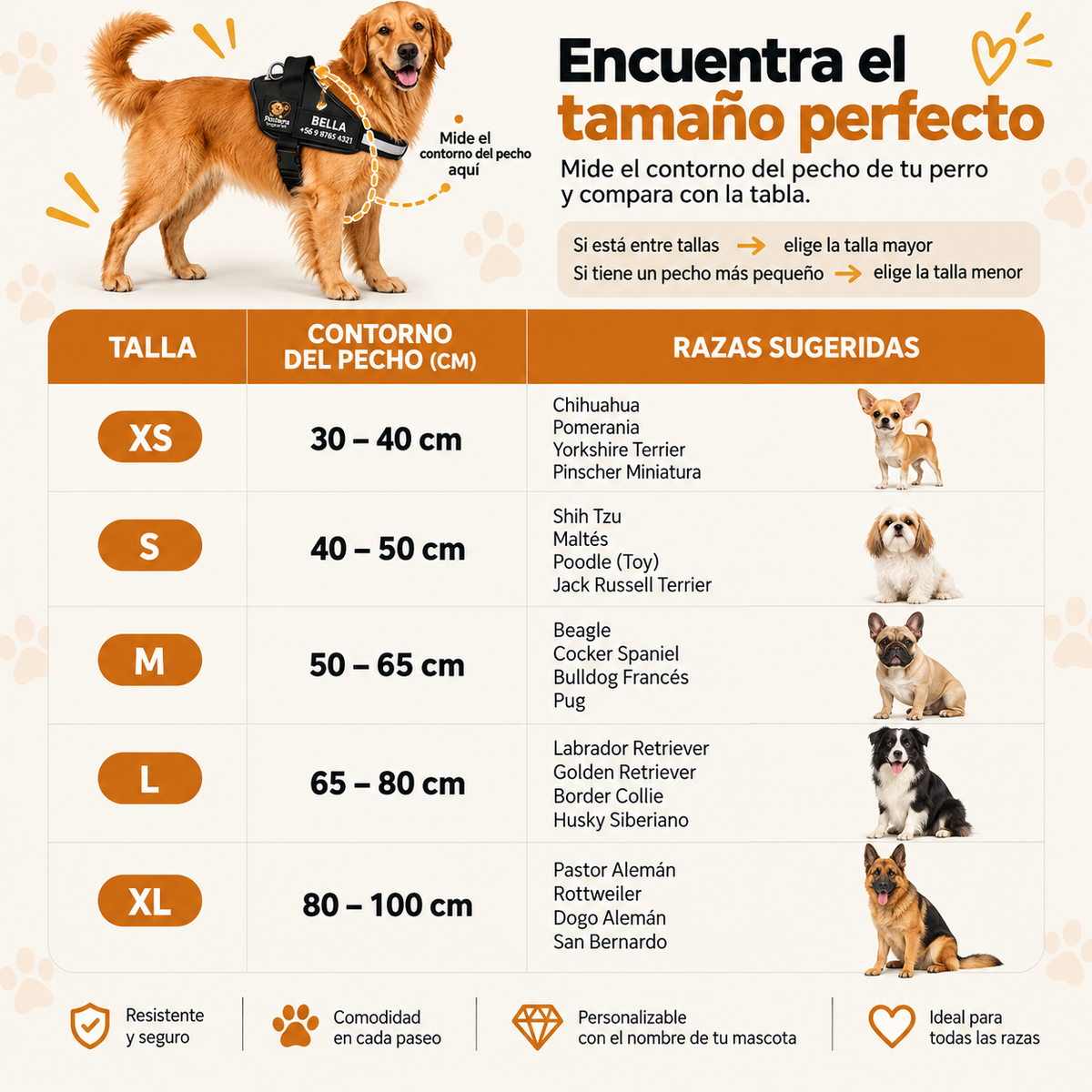 Perchera segurapet 🐶 Paseos con más control y menos tirones