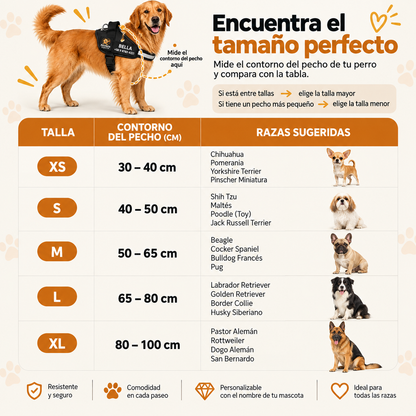 Perchera segurapet 🐶 Paseos con más control y menos tirones